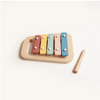 The Player Growing Play Box - montessori months wooden xylophone with mallet