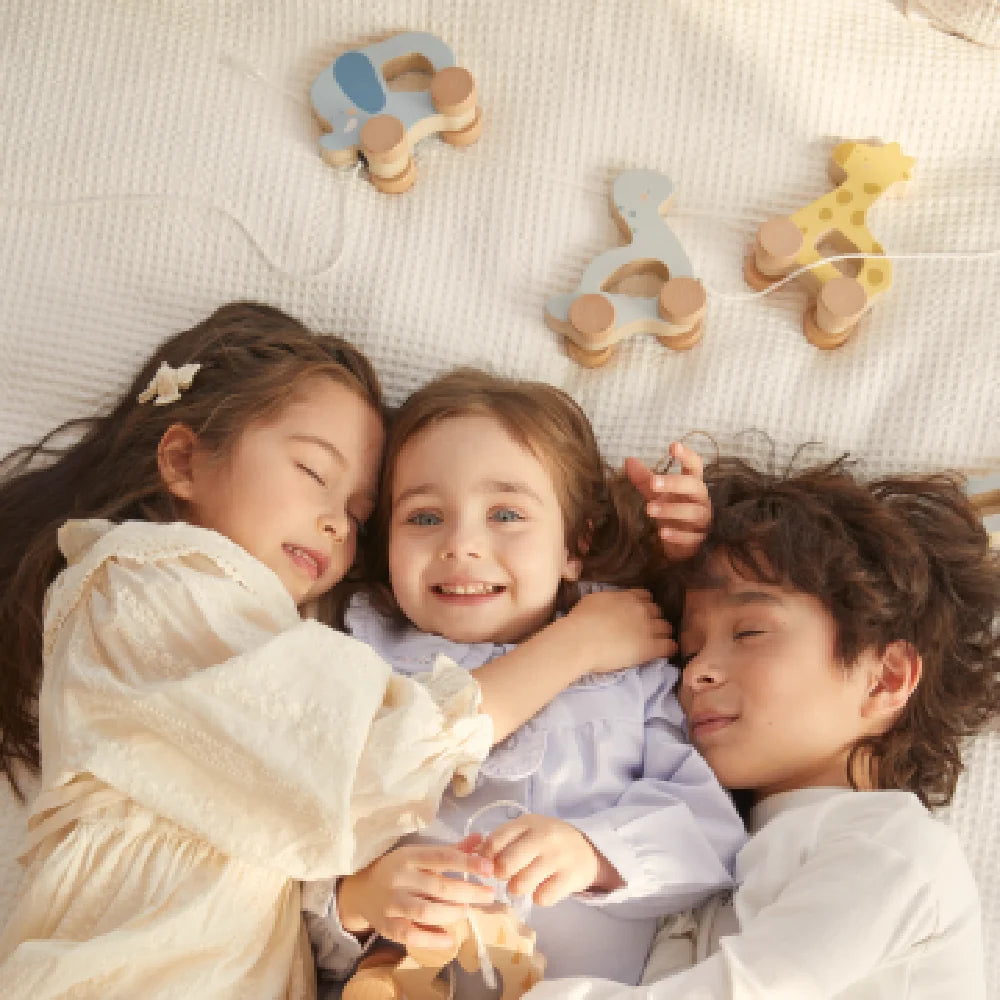 Children play with wooden educational toys (car, bird, giraffe) on a blanket.