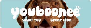 Brown dog with youboonee text and tagline